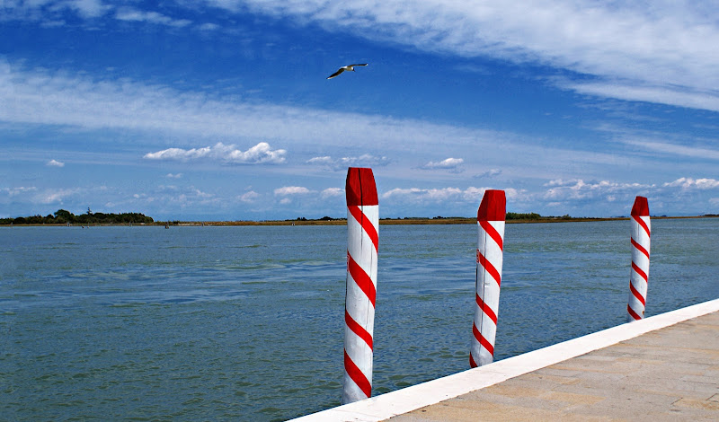 Paline in laguna di carlo-bi