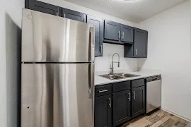 Modern kitchen featuring stainless steel appliances, dark cabinetry, and a double sink with a stylish countertop.