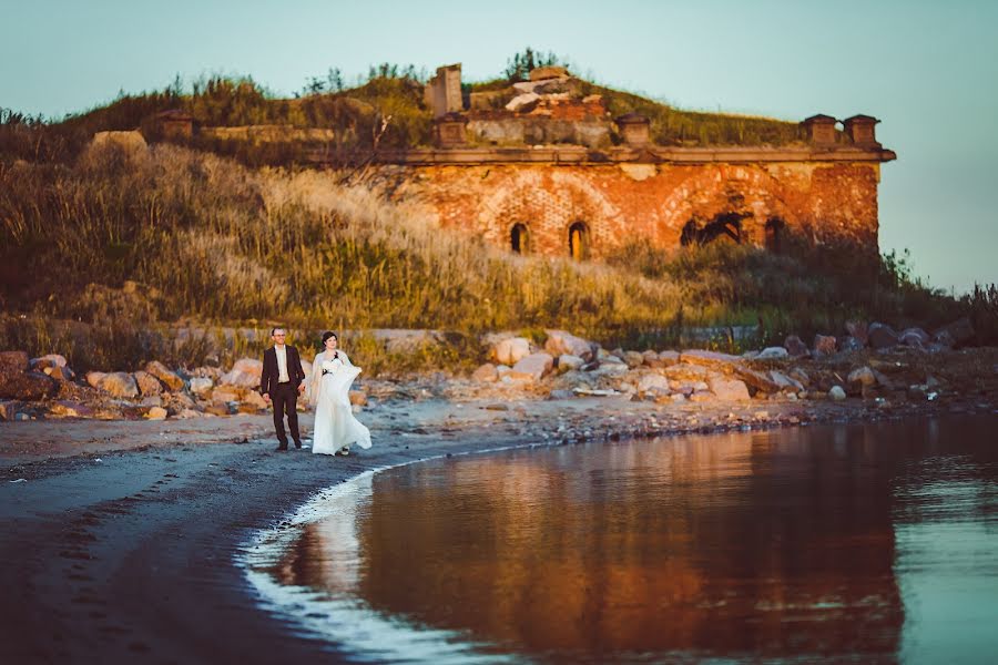 Fotograful de nuntă Dmitriy Tolmachev (dimtol). Fotografia din 6 aprilie 2014