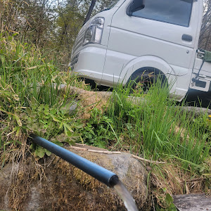 CARRY 4WD