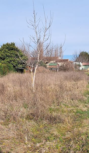 Vente terrain   à Mazan (84380), 160 000 €