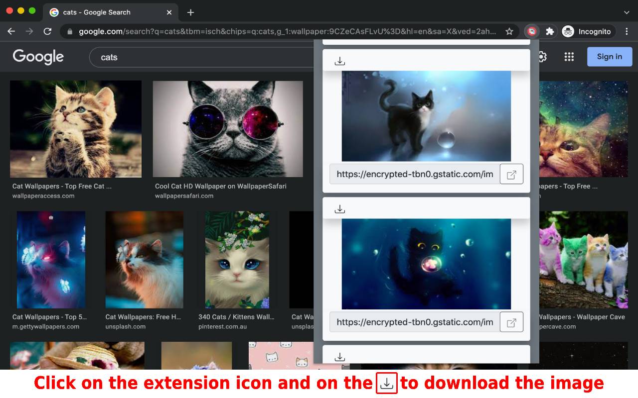 Free image downloader Preview image 4