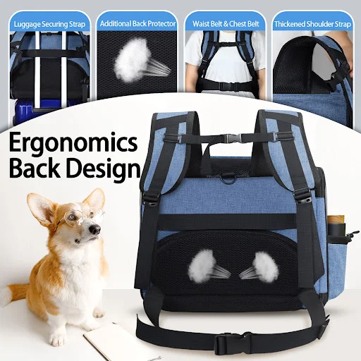Petskd Pet Backpack Carrier Southwest Airline Approved Cat Travel Backpack for Small Dog Carrier Bag with Safety Lock Zi