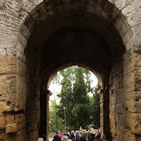 Volterra di 