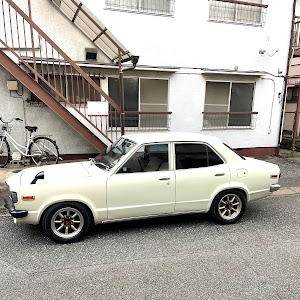 サバンナ S124