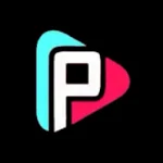 Cover Image of ダウンロード Pik Pok - Watch Video & Share 1.2 APK