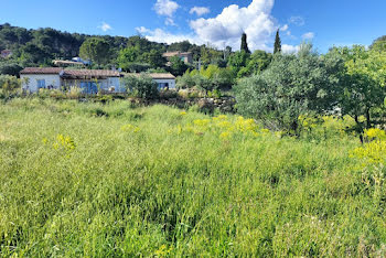 terrain à Lorgues (83)