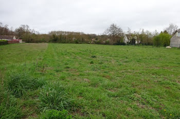 terrain à Saint-Pierre-lès-Nemours (77)