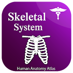 Skeletal System - Skeleton Anatomy 2021 Apk