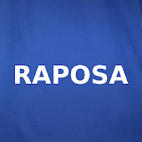 Notícias do Cruzeiro pra Torcida da Raposa