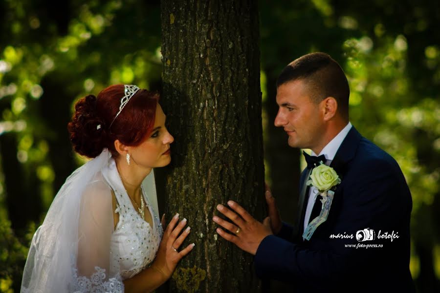 Hochzeitsfotograf Marius Botofei (mariusbotofei). Foto vom 24. Februar 2019