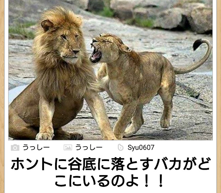 フィットのもっちーさんの3秒で笑顔でshow・食レポ・のんびりしました🐾に関するカスタム事例の投稿画像19枚目