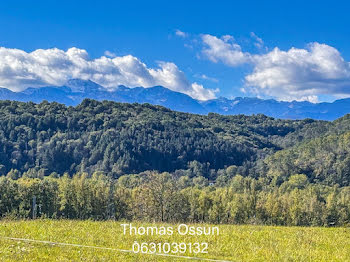 terrain à Ozon (65)