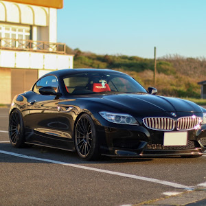 Z4 E89