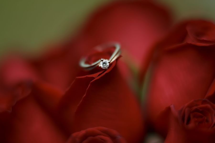 Fotografo di matrimoni Pablo Haro Orozco (haro). Foto del 1 ottobre 2018