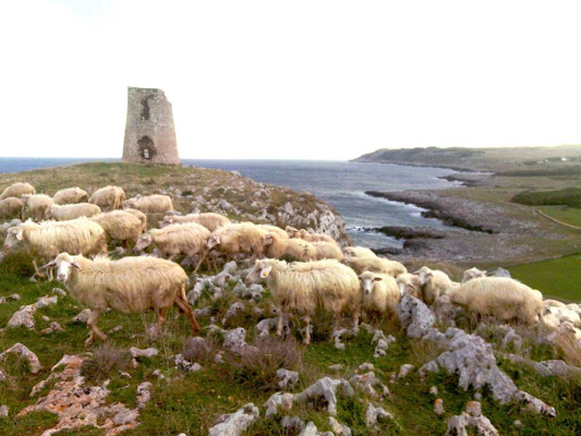 Incontri  di giudyth.coluccia