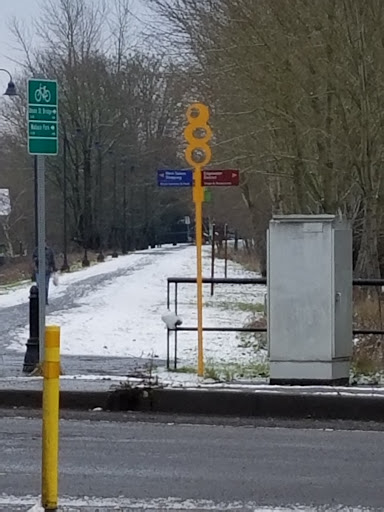 Bubble Sign Art