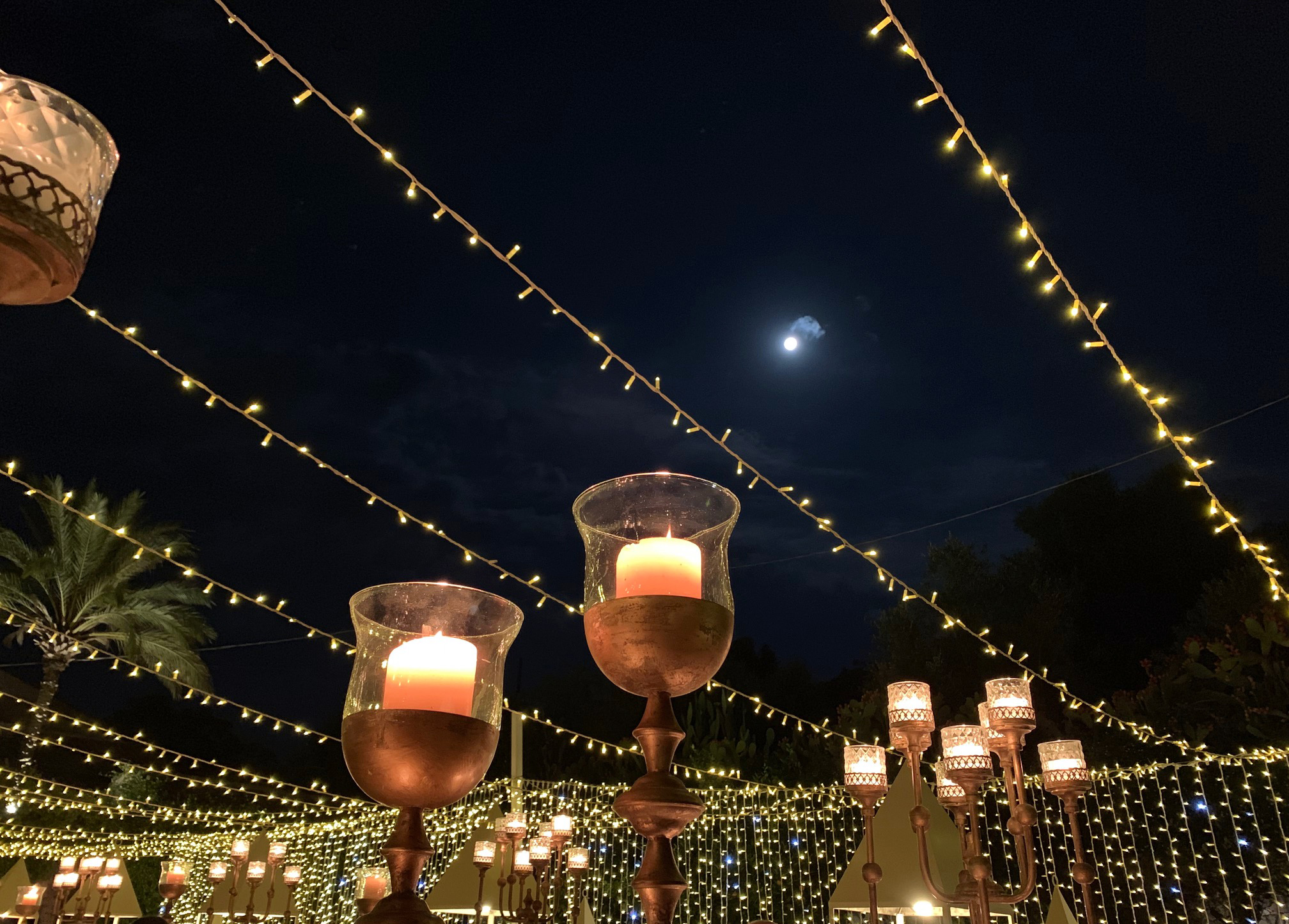 Natural or artificial? di darioformica