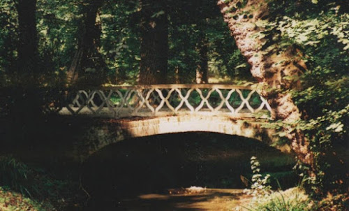 Ponte nel parco di racconigi di Nicole Bonavia