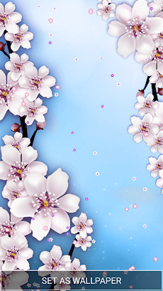 桜 ライブ壁紙 Androidアプリ Applion