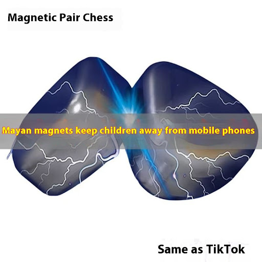 Title 3, Parent Child Interaction Magnetic Battle Chess ...