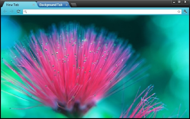 Flower Power chrome extension