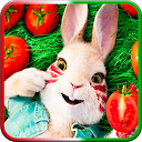 Wonder Peter Rabbit puzzle! 1.0 APK Télécharger