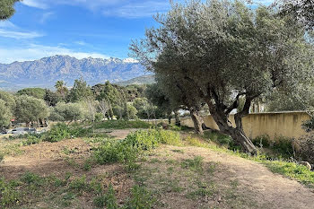 terrain à batir à Calvi (2B)