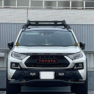 RAV4 AXAH54