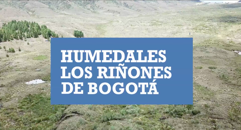 Humedales: Los riñones de Bogotá