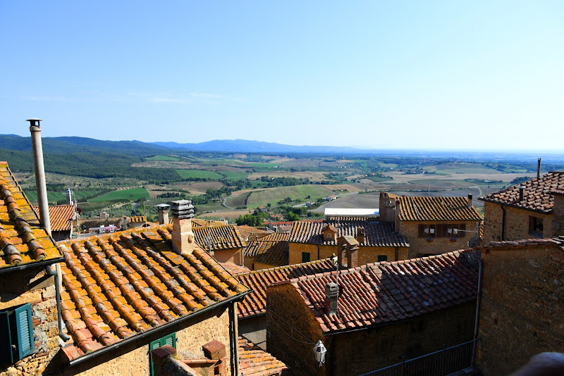 Terra natia di luca_pavione