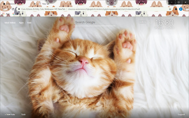 Free Addon - Cute Cat & Kitten Theme - HD Wallpapers & Backgrounds