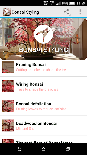 Bonsai Styling