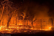 Areas of Somerset West were evacuated last night (03/01/17) as firefighters battled to contain a fire that started earlier in the afternoon. Picture Credit: Justin Sullivan