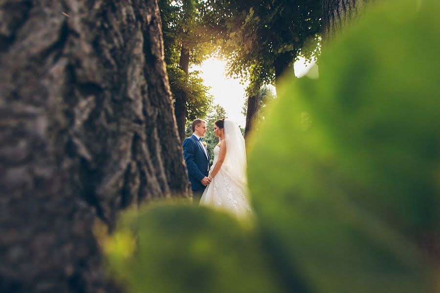 Fotógrafo de casamento Dima Zaburunnov (zaburunnov). Foto de 25 de dezembro 2016