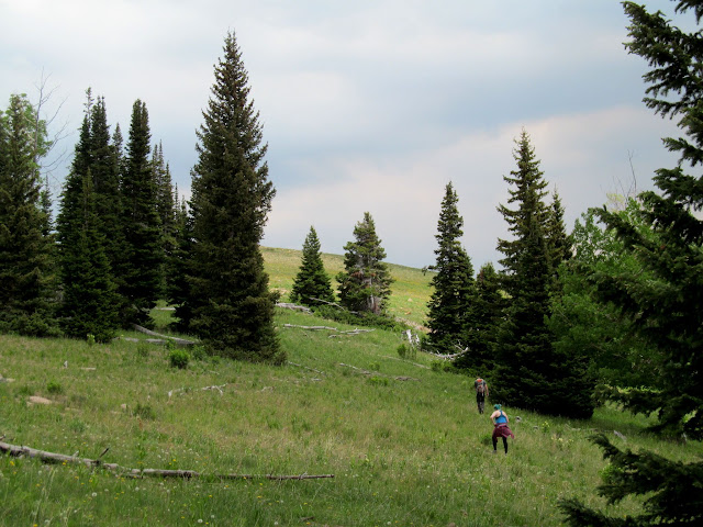 Final push to the summit of Seeley Mountain