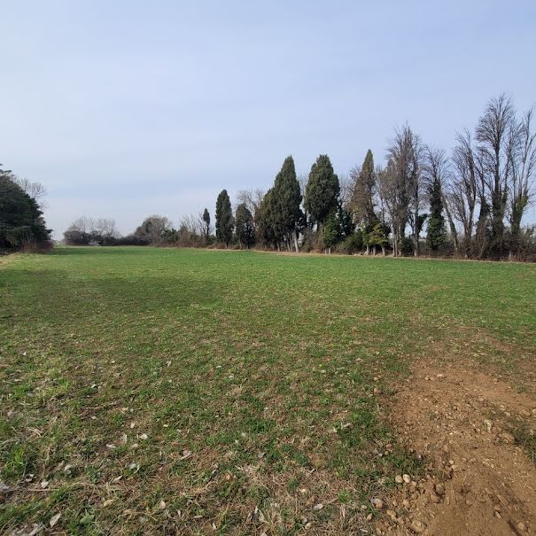 Vente terrain  835 m² à Saint-Martin-de-Crau (13310), 189 900 €