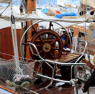 La ruota del timone di manolina