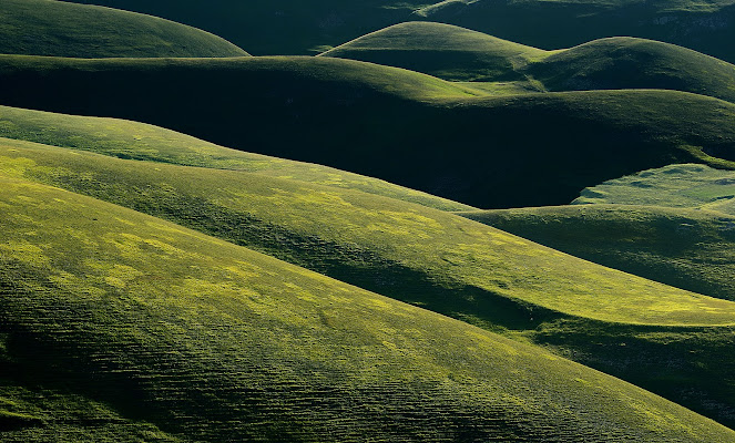 Verdi colline di mariarosa-bc