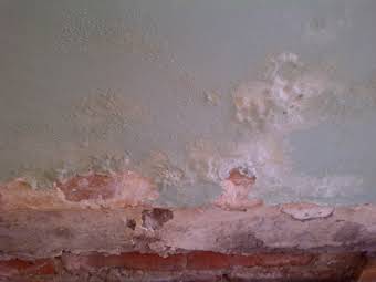 Damp Proofing album cover