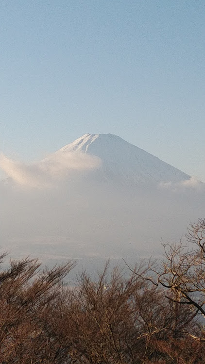 の投稿画像2枚目