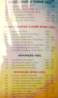 Vrundavan Biryani House menu 3