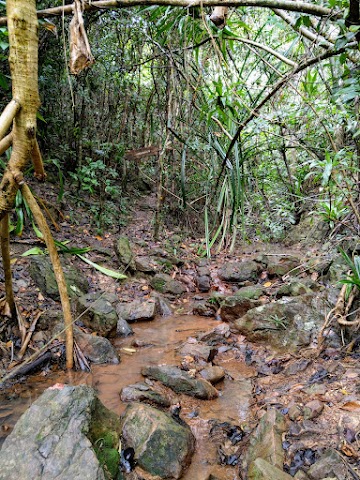 Bukit Berakit Hiking Trail Pulau Kapas