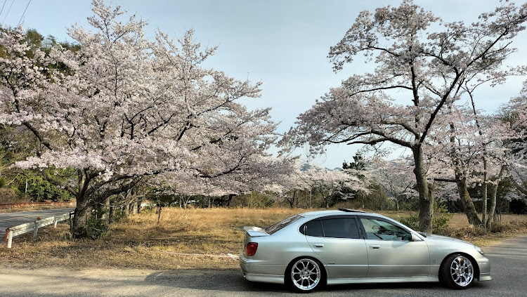 アリストのアリスト JZS161・2JZ-GTE・桜と愛車のコラボ🌸・目指せPickUpCars・ルックスレインコートに関するカスタム事例の投稿画像3枚目