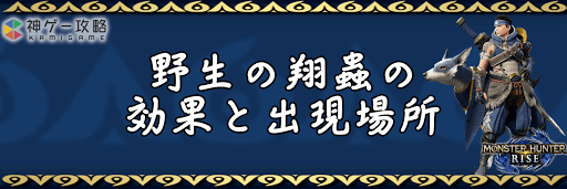 モンハンライズ_翔蟲