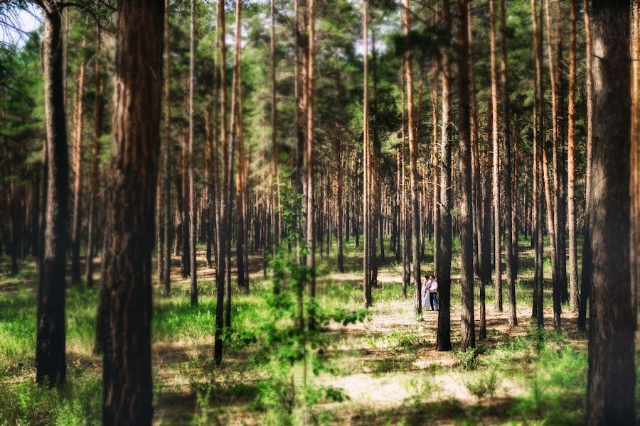 Fotografo di matrimoni Evgeniya Khaerlanamova (haerlanamova). Foto del 22 luglio 2015