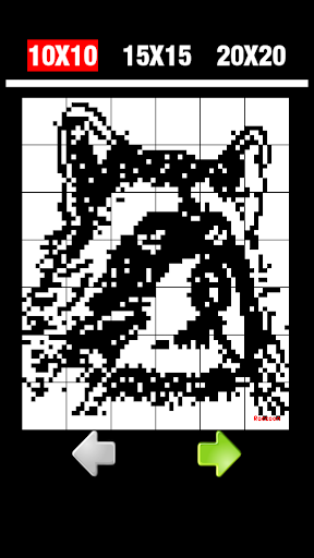 Nonogram 5 Picross Logic