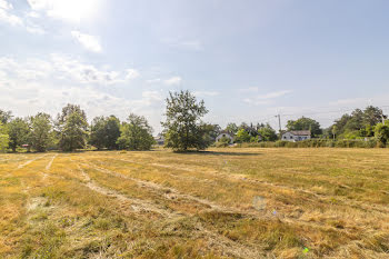 terrain à La Ferté-Imbault (41)