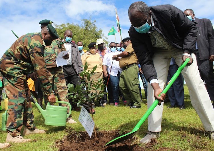 Energy PS Gordon Kihalangwa plants a tree at Gakanga in Kieni West Sub county.