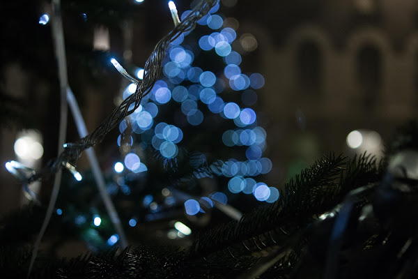 Xmas Tree di Pierluigi Lotito